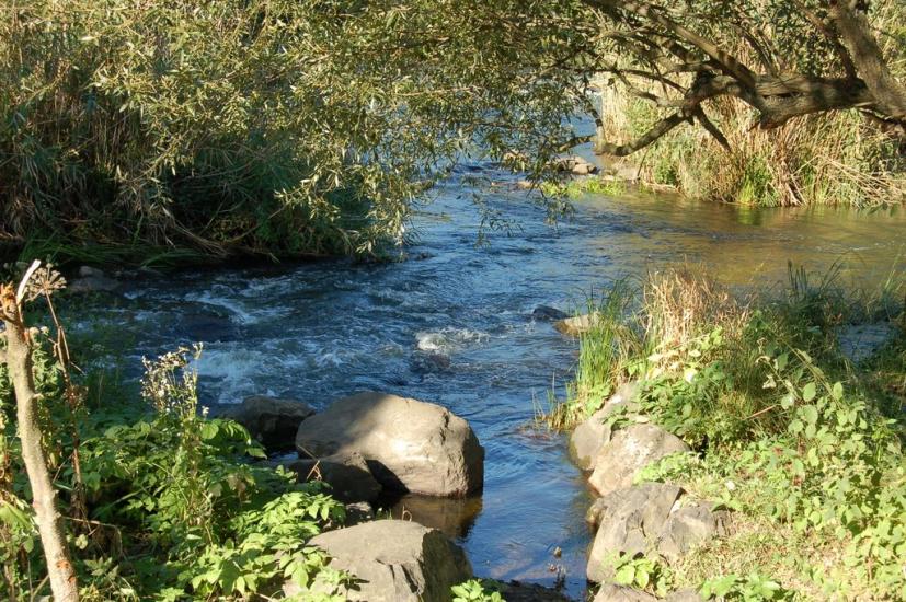 Соломія з panoramio.com - Соломія