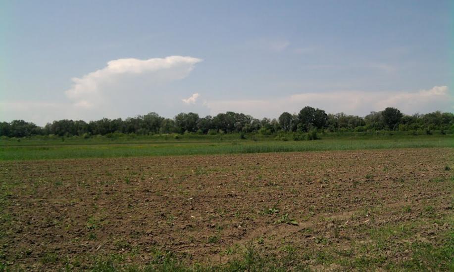 Соловка з panoramio.com - Соловка