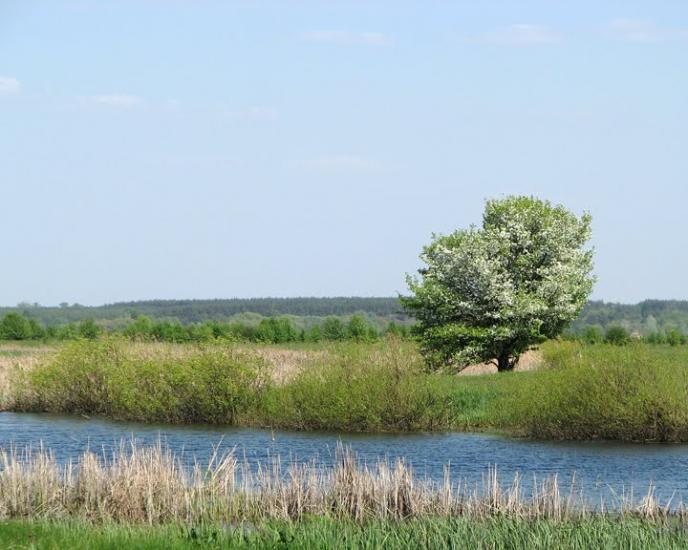 Балаклія з panoramio.com - Балаклія