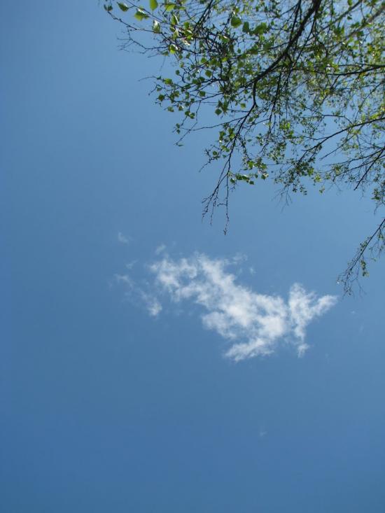 Попівка з panoramio.com - Поповка
