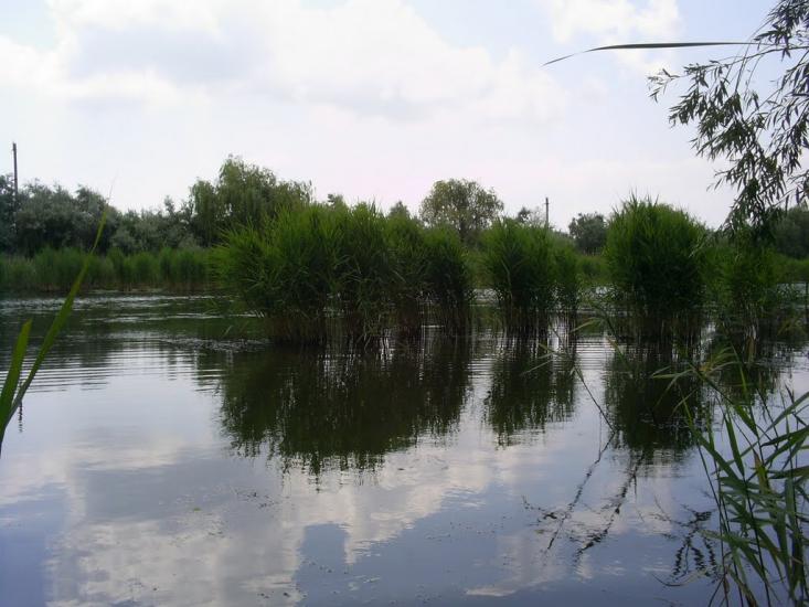 Маяки з panoramio.com - Маяки