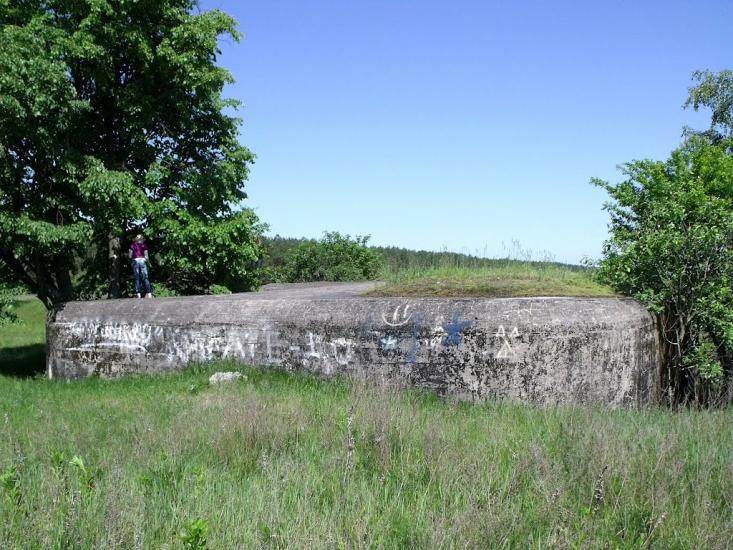 Велика Любаша з panoramio.com - Велика Любаша