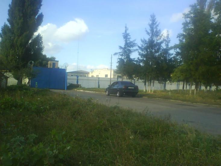 Мартусівка з panoramio.com - Мартусівка