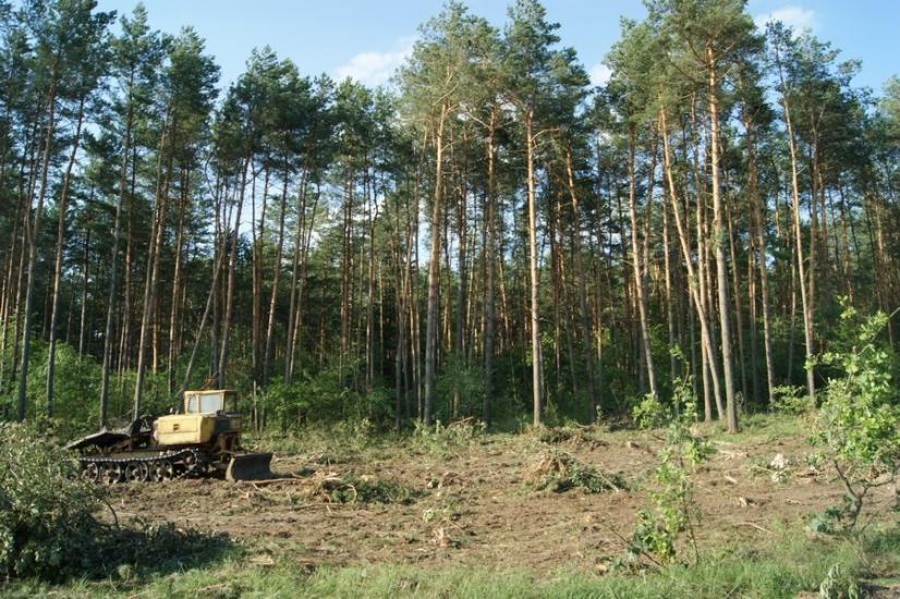 Велика Любаша з panoramio.com - Велика Любаша