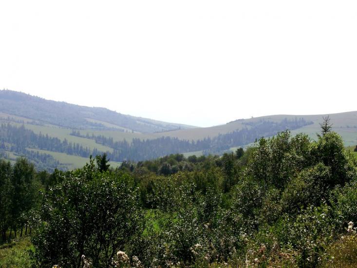 Плав'я з panoramio.com - Плавья