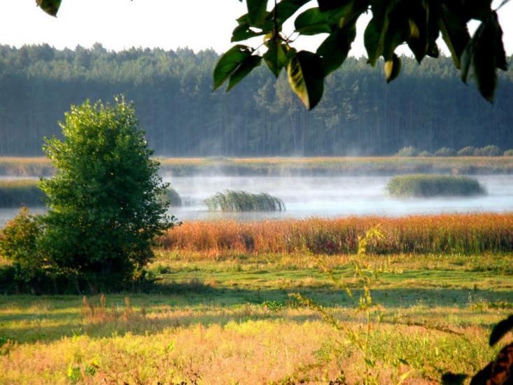 Нехворощ з panoramio.com - Нехворощ