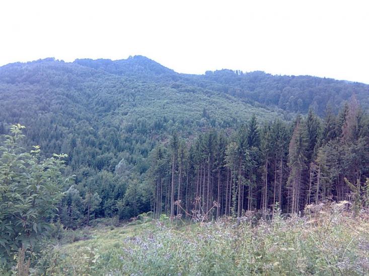 Красноїльськ з panoramio.com - Красноильск