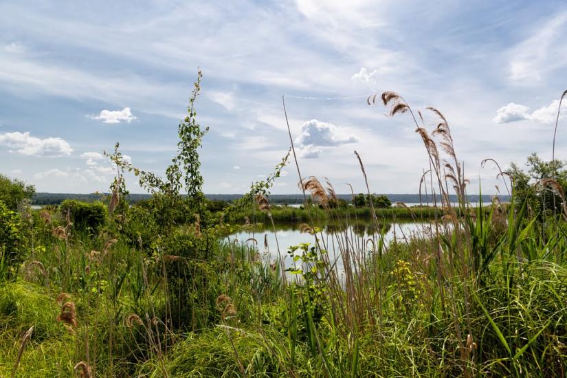 Ліпляве з panoramio.com - Лепляво