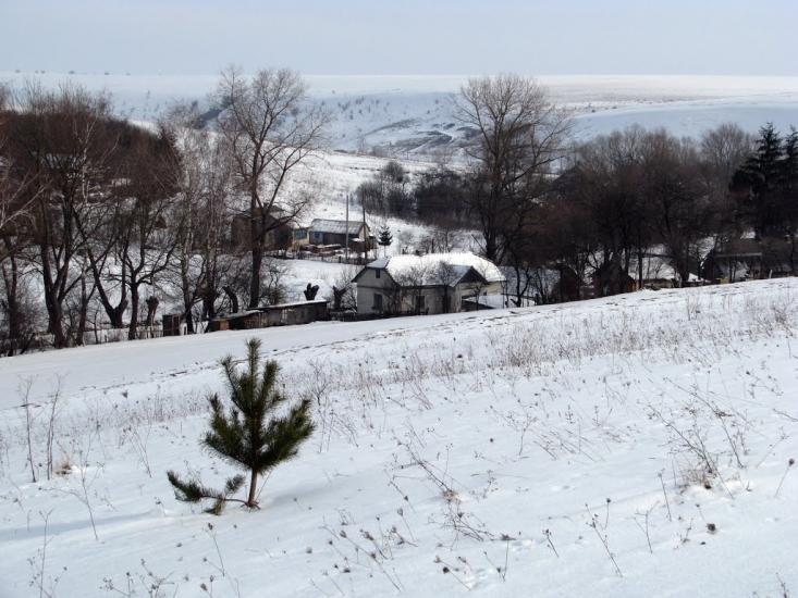 Сеньків з panoramio.com - Сеньков