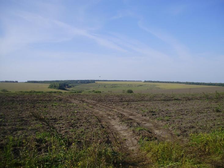 Тернова з panoramio.com - Тернова