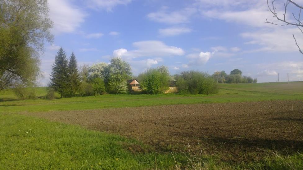 Лаврів з panoramio.com - Лавров