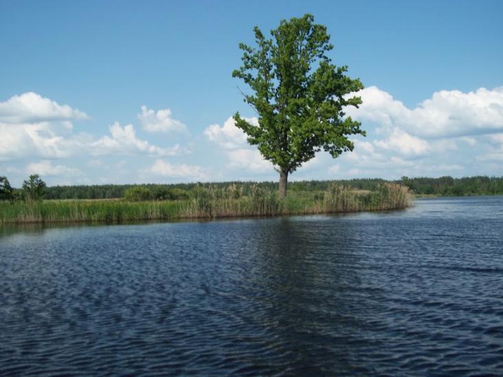 Тепениця з panoramio.com - Тепениця