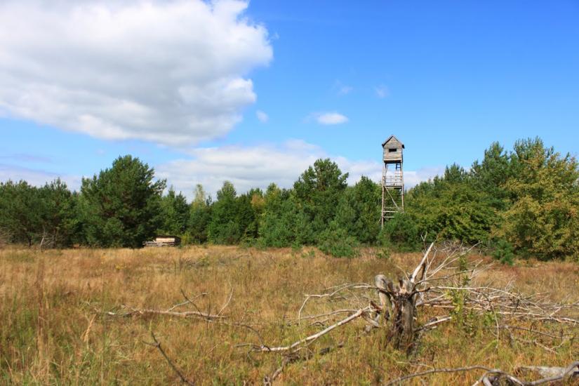 Корчак з panoramio.com - Корчак