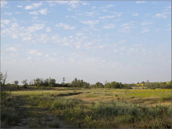 Златоустівка з panoramio.com - Златоустівка