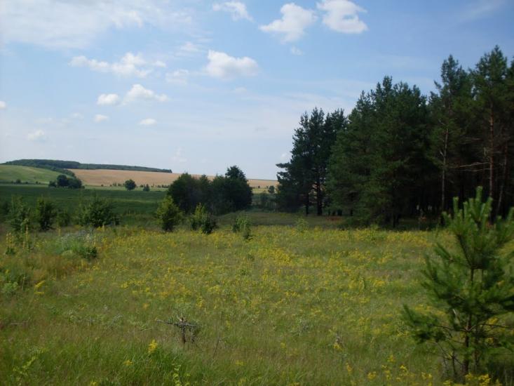 Гунча з panoramio.com - Гунча