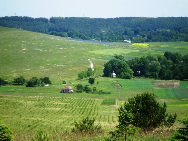 Бучина з panoramio.com - Бучина