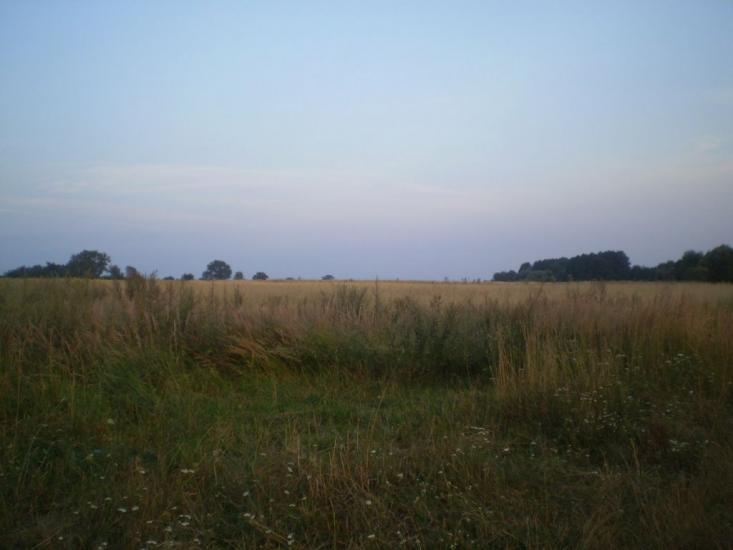 Малин з panoramio.com - Малин