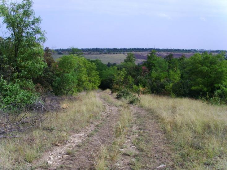 Березівка з panoramio.com - Березовка