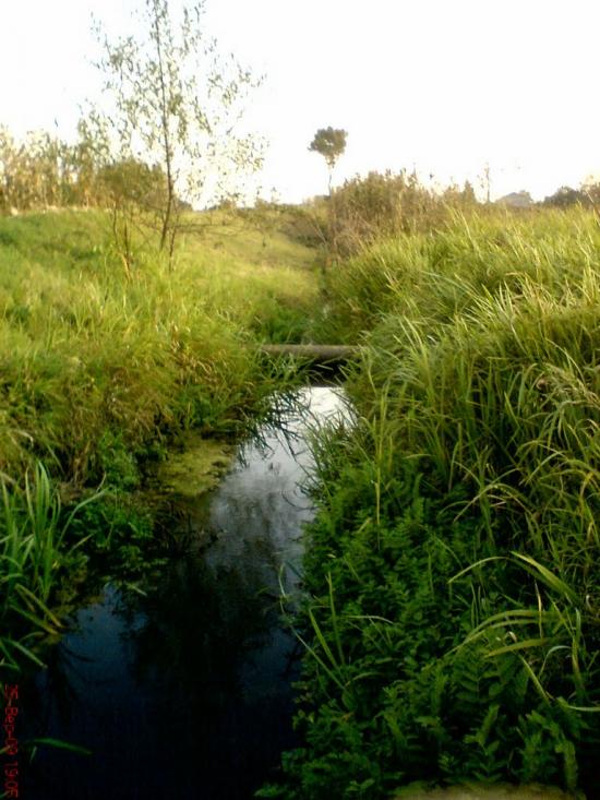 Горпин з panoramio.com - Горпин