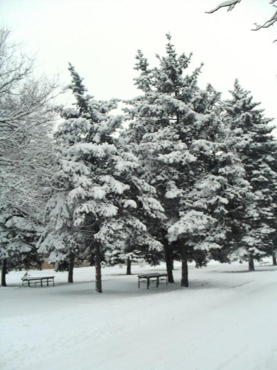 Пологи з panoramio.com - Pology
