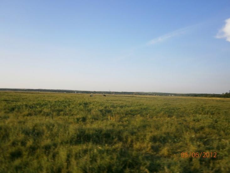 Новоайдар з panoramio.com - Новоайдар