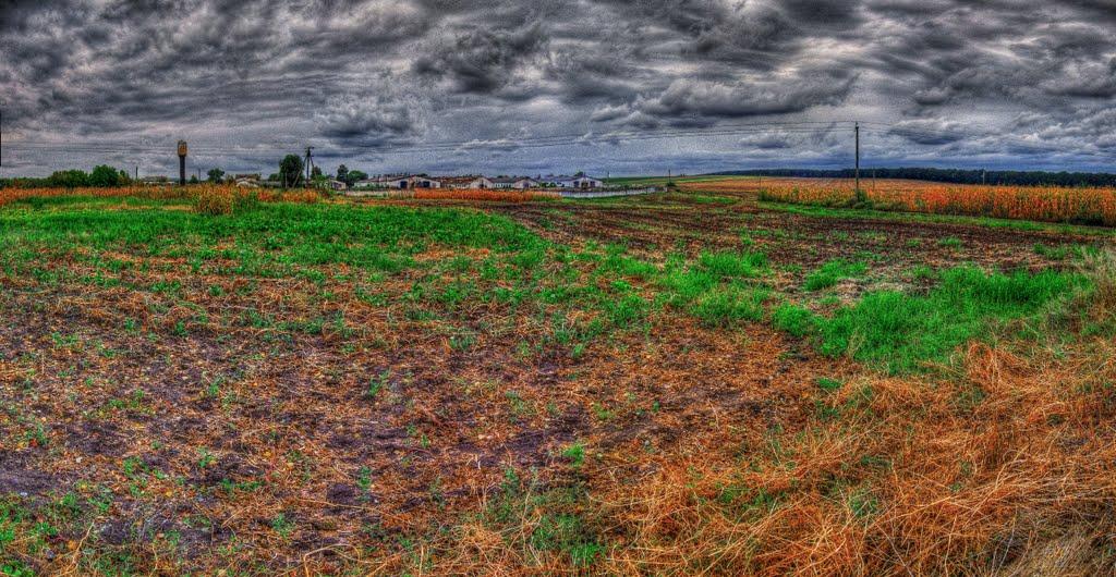 Стеблів з panoramio.com - Стеблев