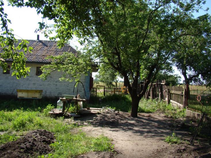 Тимченки з panoramio.com - Тимченки