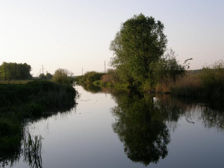 Заріг з panoramio.com - Зарог