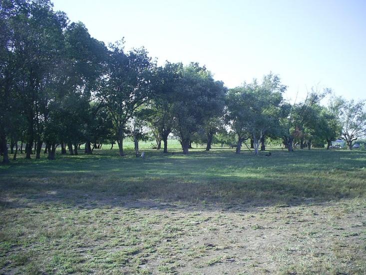 Чистоводне з panoramio.com - Чистоводное