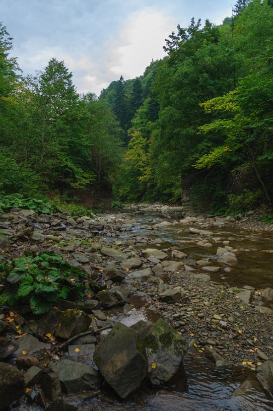 Буківцьово з panoramio.com - Буковцево