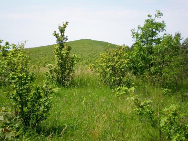 Бучина з panoramio.com - Бучина