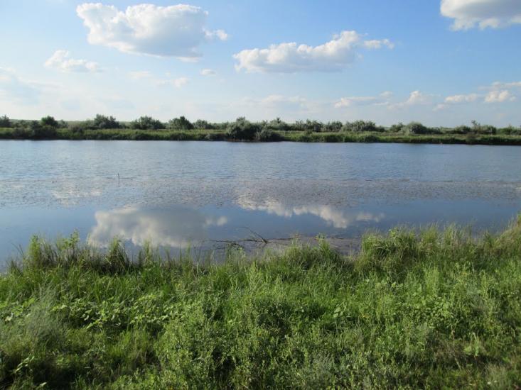 Єлизаветівка з panoramio.com - Єлизаветівка