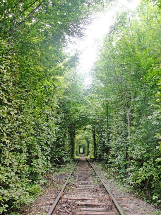 Клевань з panoramio.com - Klevan
