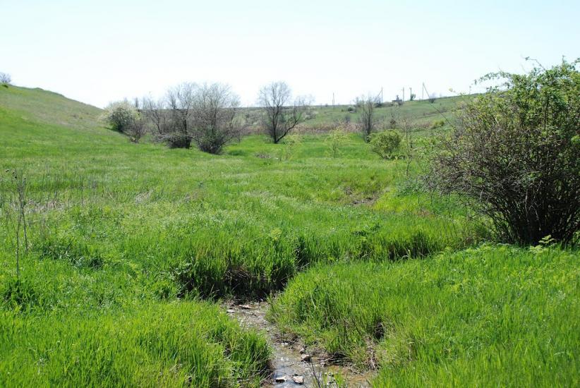 Василівка з panoramio.com - Василівка