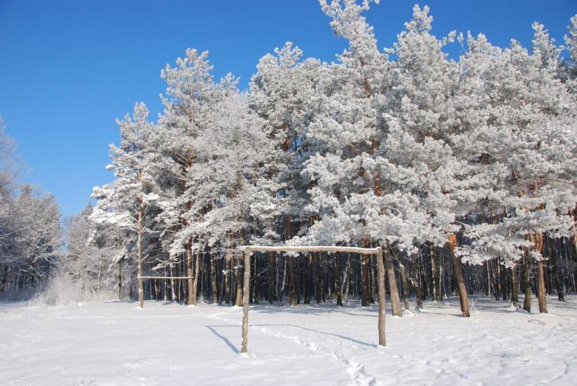 Олевськ з panoramio.com - Олевск