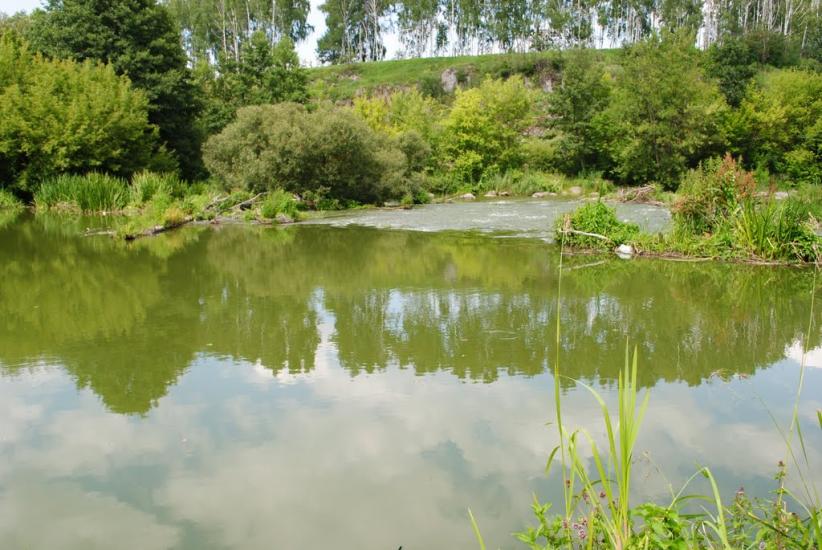 Думенки з panoramio.com - Думенки