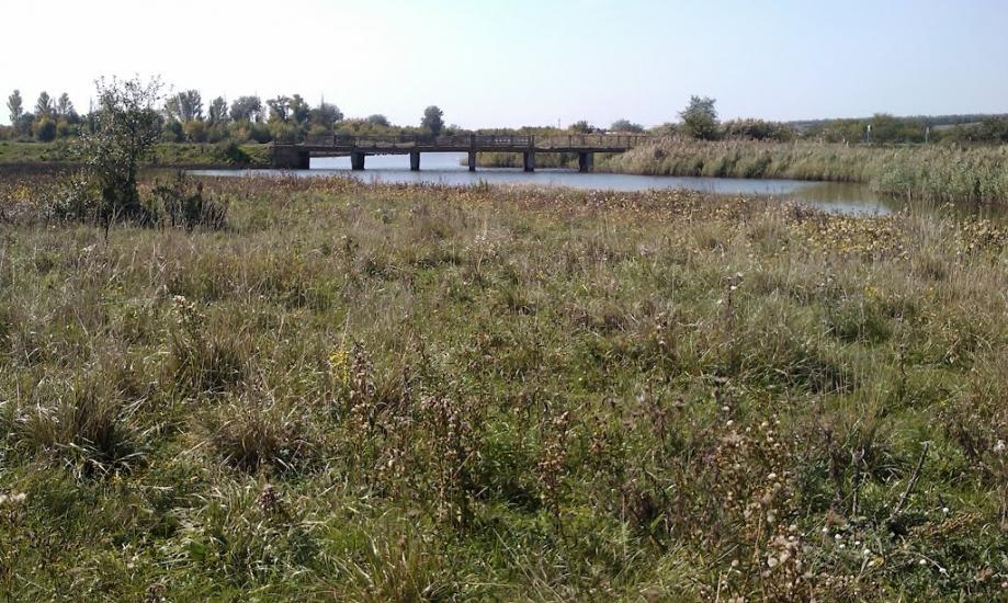 Софіївка з panoramio.com - Софиевка