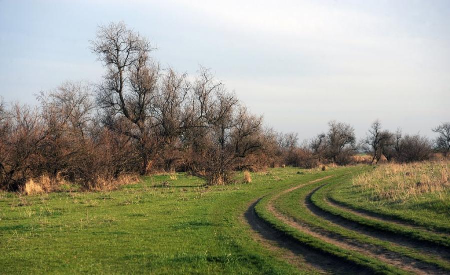 Мала Тернівка з panoramio.com - Mala Ternivka