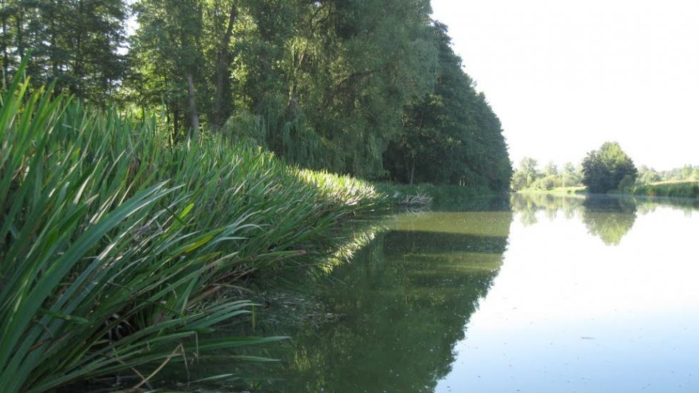 Думенки з panoramio.com - Думенки