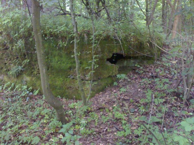 Шутроминці з panoramio.com - Шутроминцы