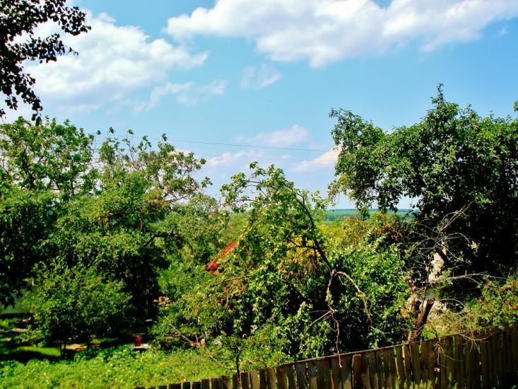Неморож з panoramio.com - Неморож