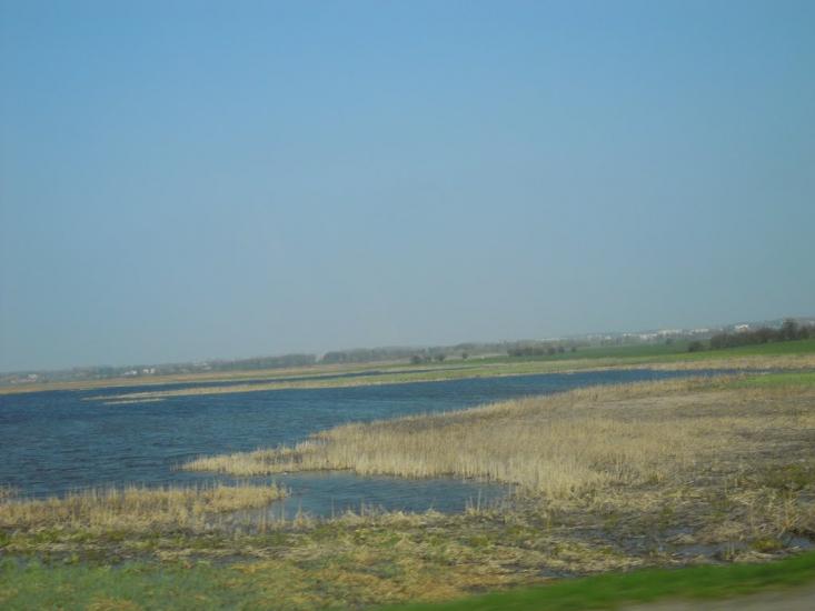 Голодьки з panoramio.com - Голодьки