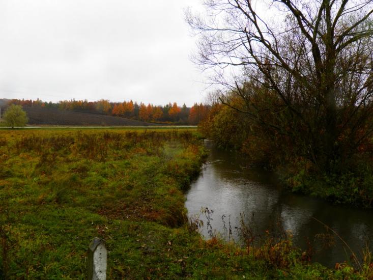 Курівці з panoramio.com - Kurivtsi