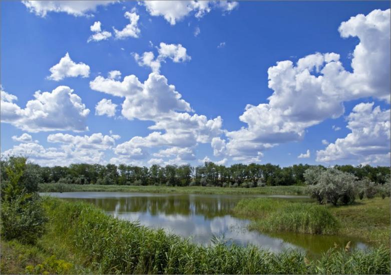 Бурлацьке з panoramio.com - Бурлацьке