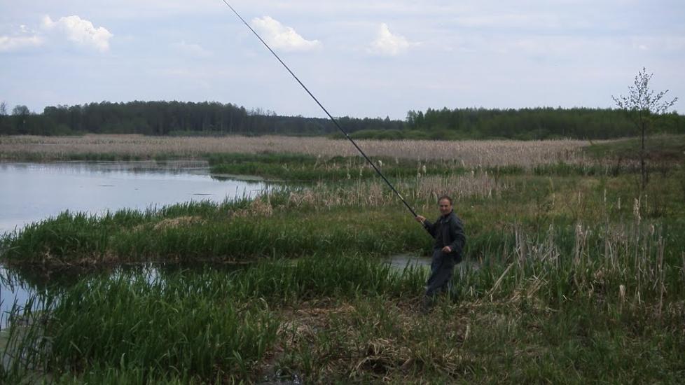 Машеве з panoramio.com - Машево