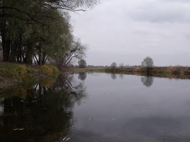Задонецьке з panoramio.com - Задонецкое