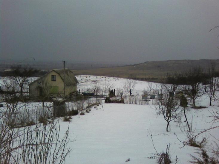 Гринів з panoramio.com - Гринів