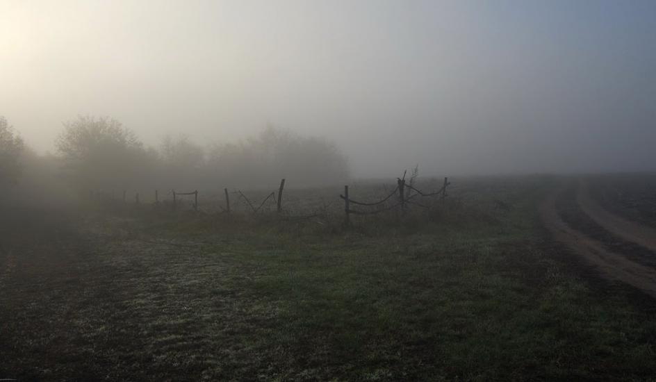 Синюха з panoramio.com - Синюха