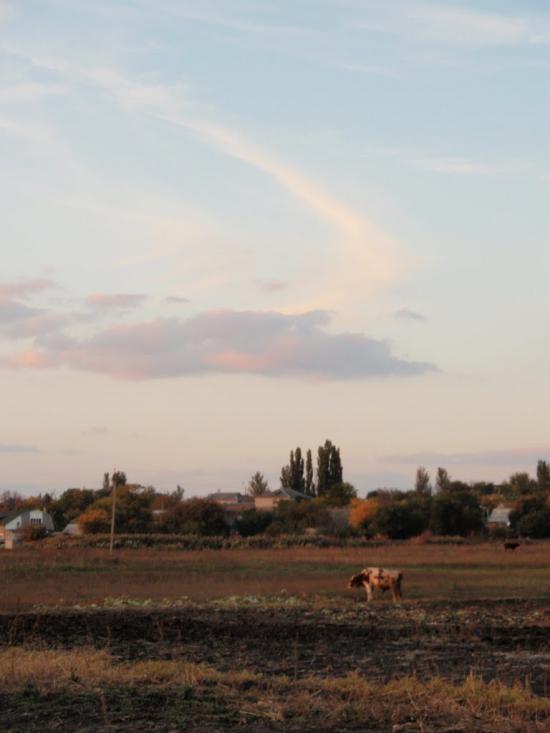 Пологи з panoramio.com - Пологи