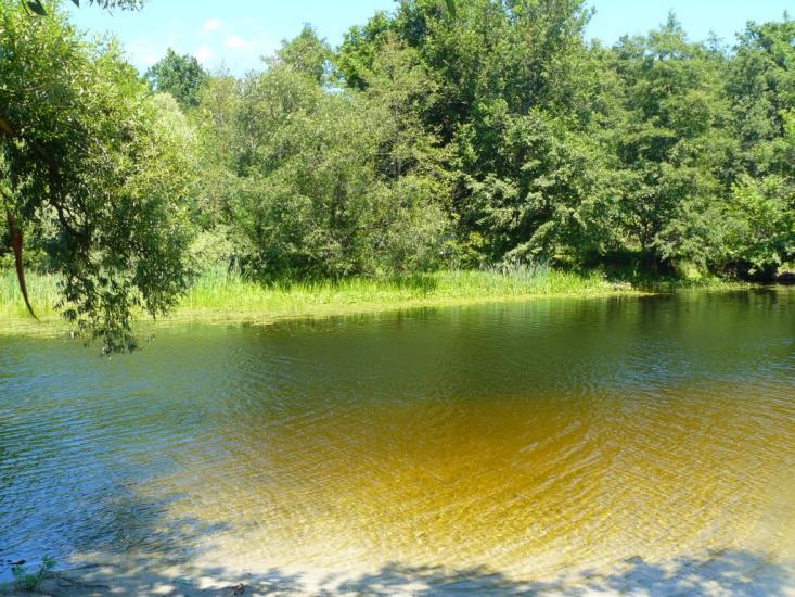 Сосонка з panoramio.com - Сосонка